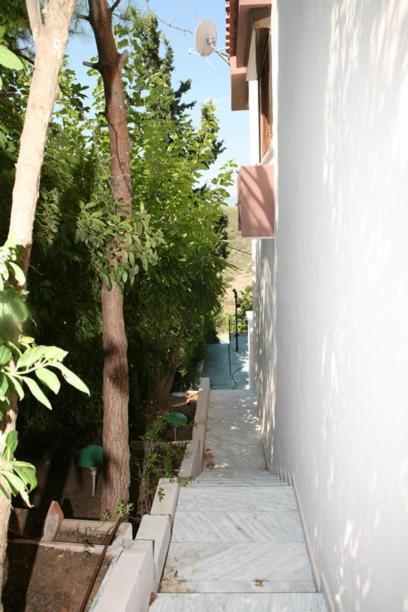 Cosy Villa Pikérmion エクステリア 写真