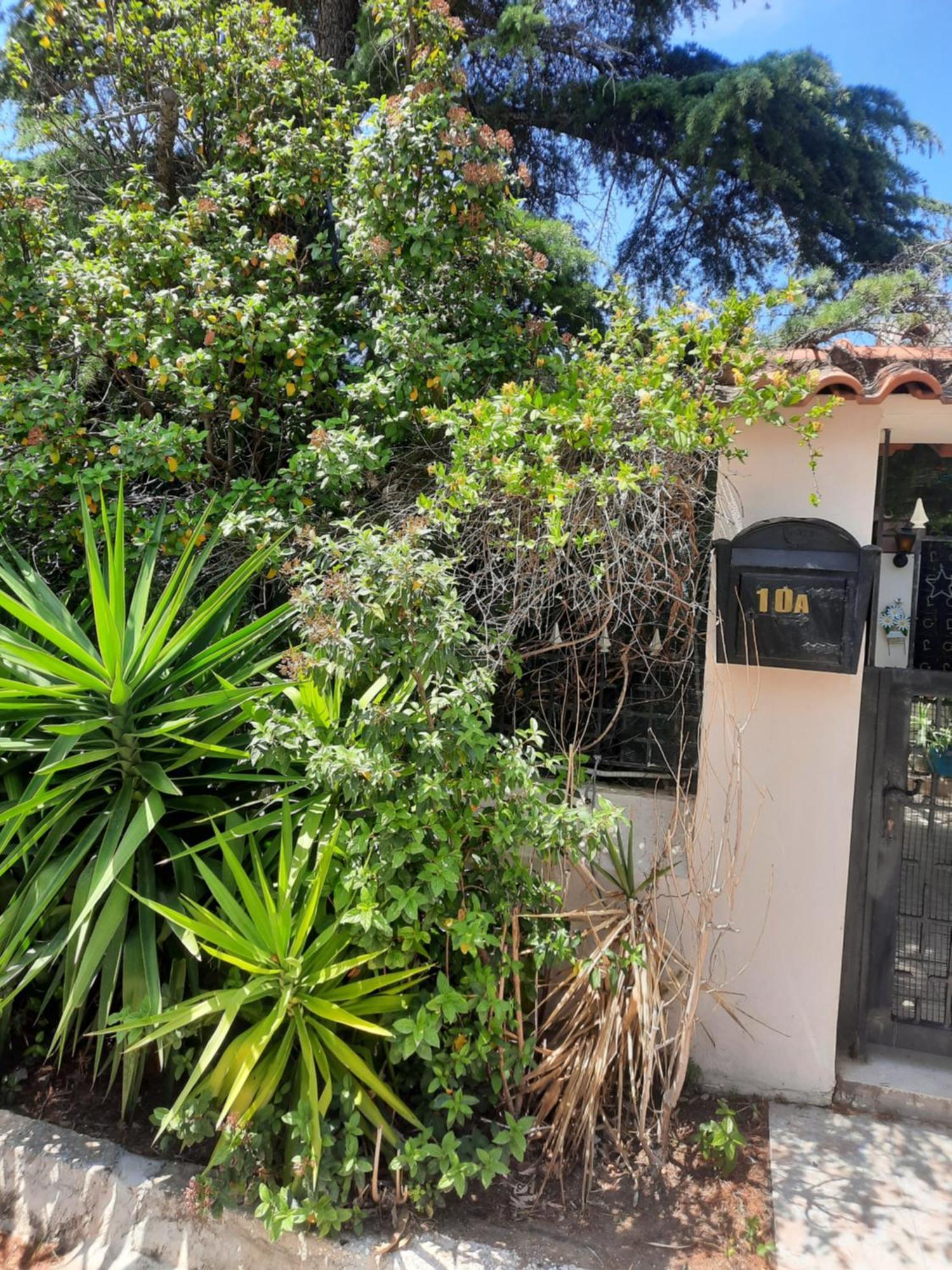 Cosy Villa Pikérmion エクステリア 写真